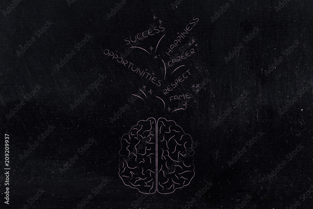 brain with success and opportunities-related captions going in or out of it brain with success and opportunities-related captions going in or out of it