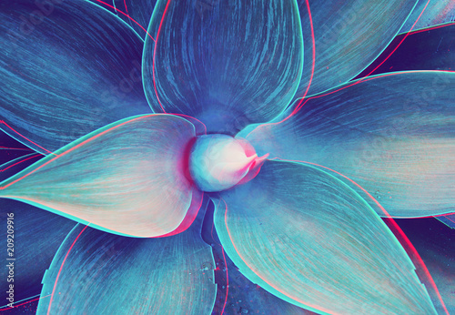 Wallpaper Mural Abstract close up of Agave plant with glitched out effect floral turquoise pattern, neon light digital signal Torontodigital.ca