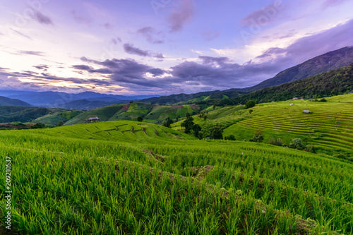 Beautiful step of rice terrace paddle field in sunset at Chiangmai, Thailand. Chiangmai is beautiful in nature place in Thailand, Southeast Asia. Travel concept.