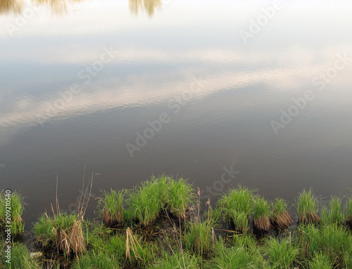 Pond shore with islets overgrown with grass and sky with clouds reflected on the water surface