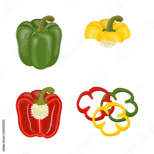 Vector illustration. Set of cut slices of sweet pepper.