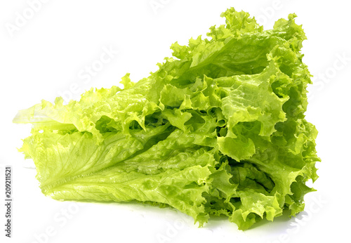 lettuce leaves isolated on white background, side view