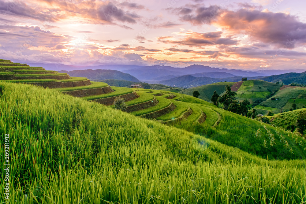 Beautiful step of rice terrace paddle field in sunset and Lens Flare at Chiangmai, Thailand. Chiangmai is beautiful in nature place in Thailand, Southeast Asia. Travel concept.