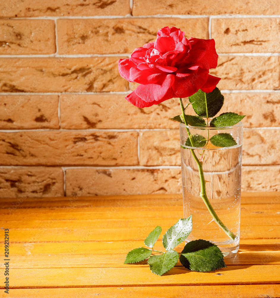 Rose in a glass of water on a wooden one against old bricks.