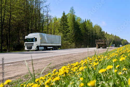 Long truck driving along a road with yellow dandelians growing at roadside