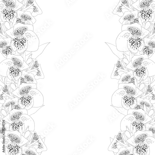 Canna lily Outline Border