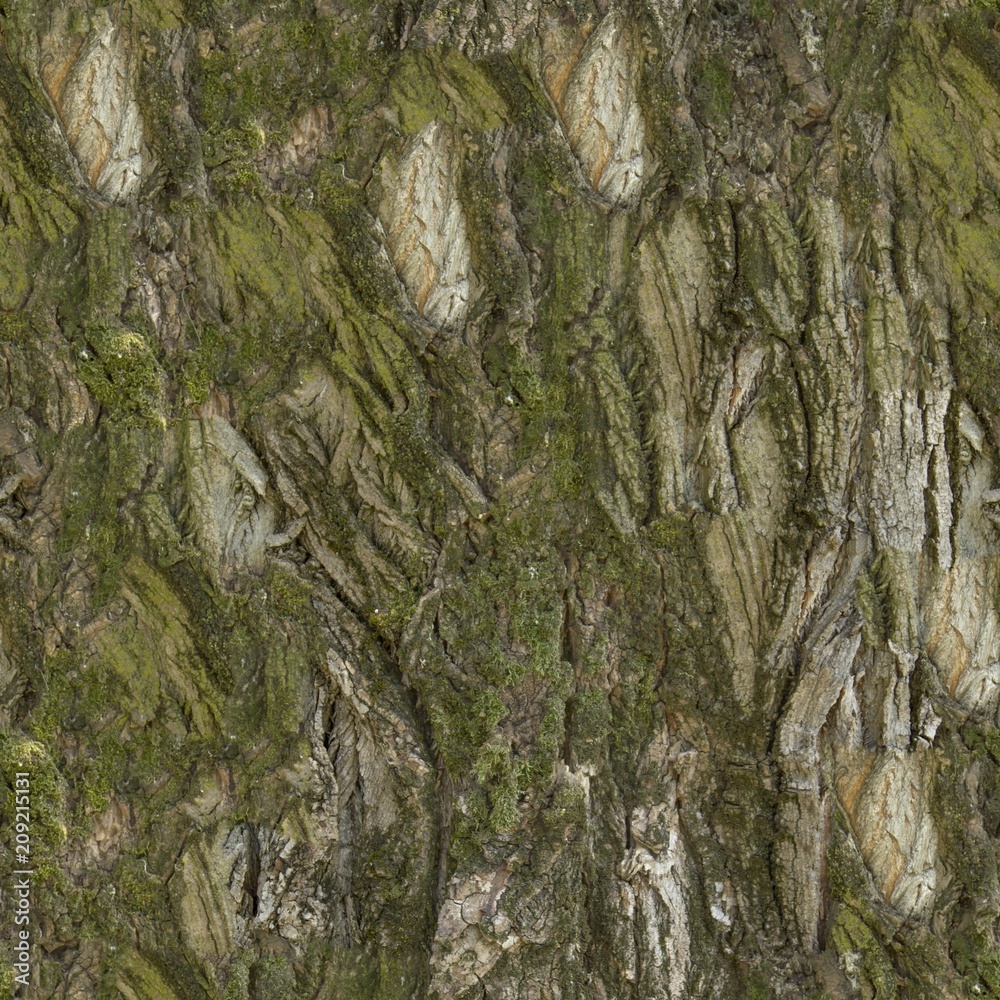 A Seamless Texture for natural backgrounds and materials A Seamless Texture for natural backgrounds and materials