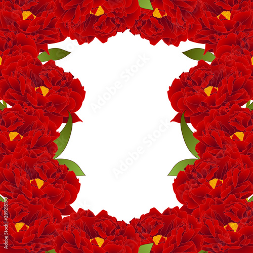 Red Peony Flower Border