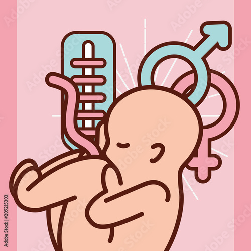 pregnancy fertilization baby cordon umbilical symbols vector illustration