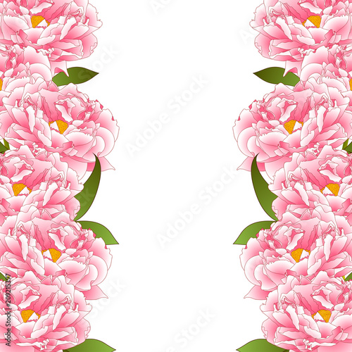 Pink Peony Flower Border