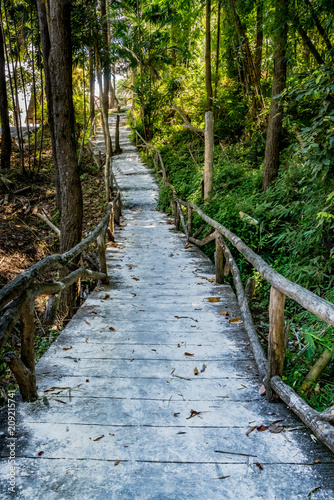 Concrete Pathway