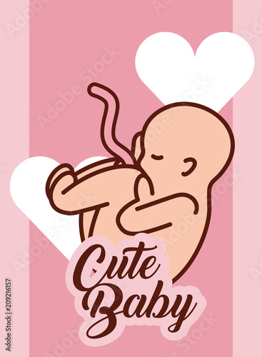 pregnancy fertilization baby cordon umbilical cute vector illustration