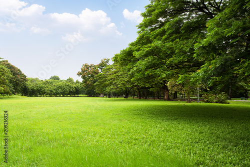 Fototapeta Naklejka Na Ścianę i Meble -  Scenic view of the park with green grass field in city and a cloudy blue sky background