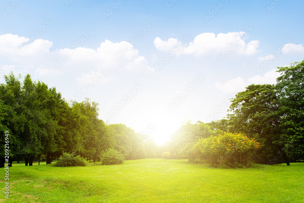 Obraz premium Scenic view of the park with green grass field in city and a cloudy blue sky background