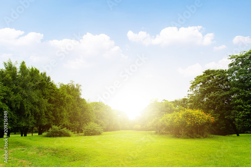 Fototapeta Naklejka Na Ścianę i Meble -  Scenic view of the park with green grass field in city and a cloudy blue sky background