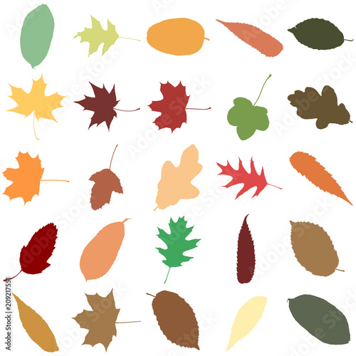Sammlung bunter Herbstblätter als nahtloses Muster