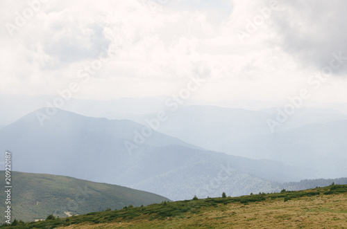 Landscapes of the mountain Carpathians, hills covered with green forest