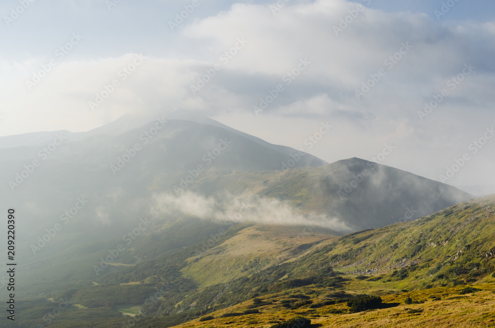 Forested mountain slope in low lying cloud with the evergreen conifers shrouded in mist in a scenic landscape view Forested mountain slope in low lying cloud with the evergreen conifers shrouded in mist in a scenic landscape view