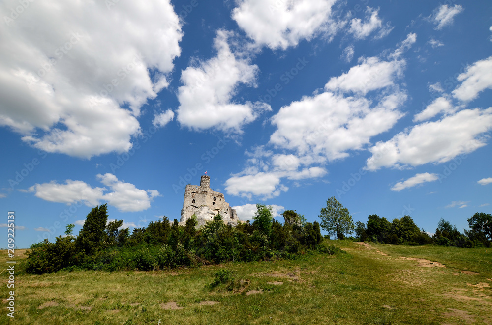 Mirow castle in Poland