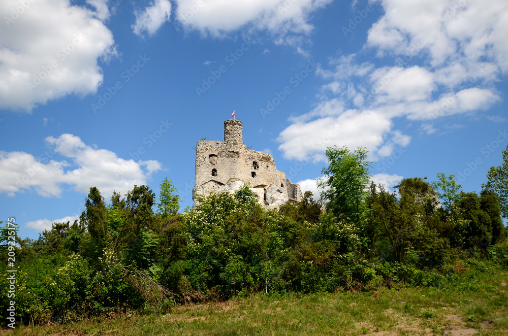 Mirow castle in Poland