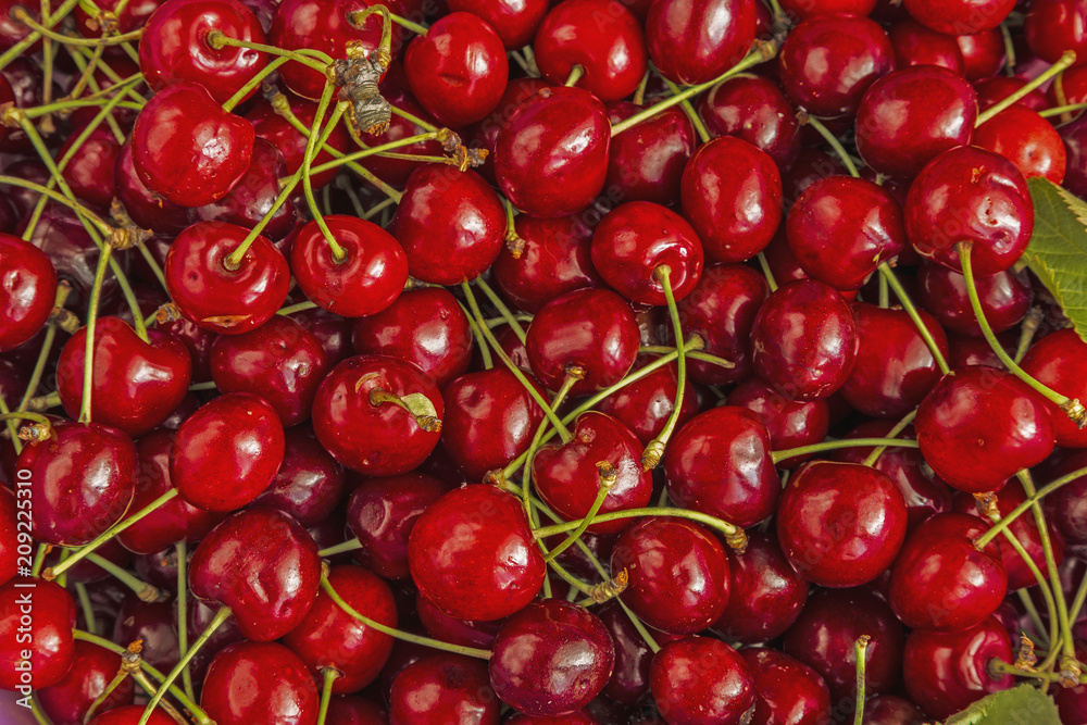 Cherry many berries background Cherry many berries background