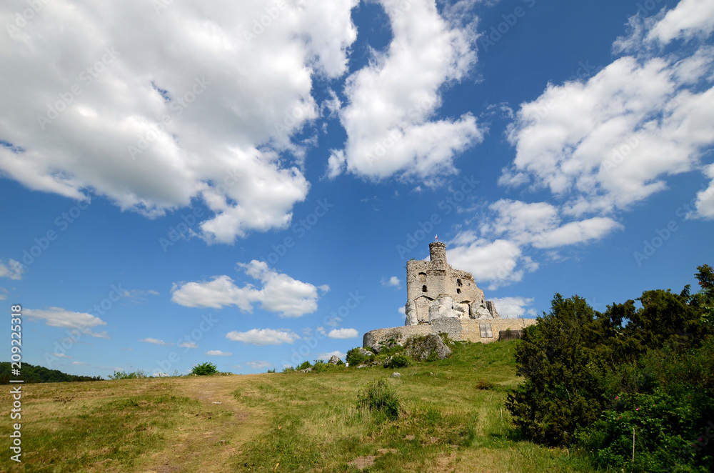 Mirow castle in Poland