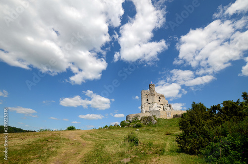 Obraz na płótnie Mirow castle in Poland w salonie