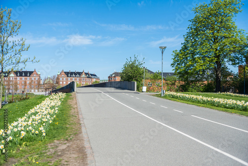 empty road and bridge, beautiful blossoming daffodils and historical architecture in copenhagen, denmark
