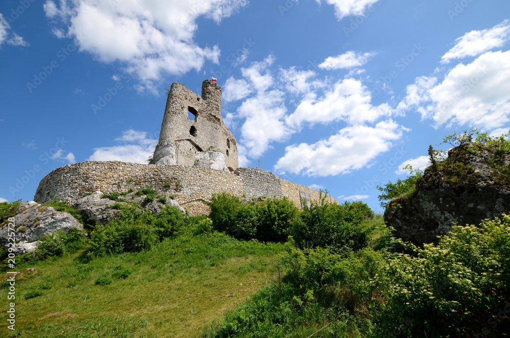 Mirow castle in Poland