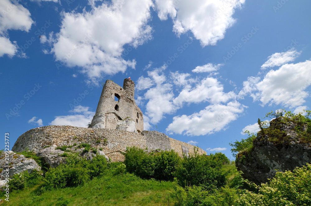 Mirow castle in Poland