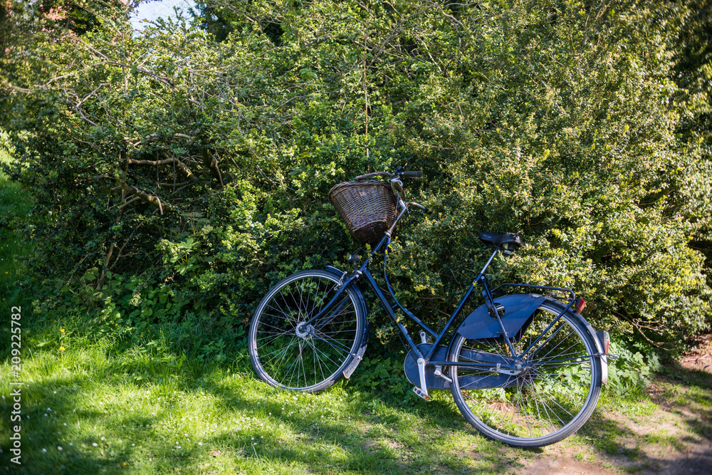 bicycle with basket parked near beautiful green bushes in park