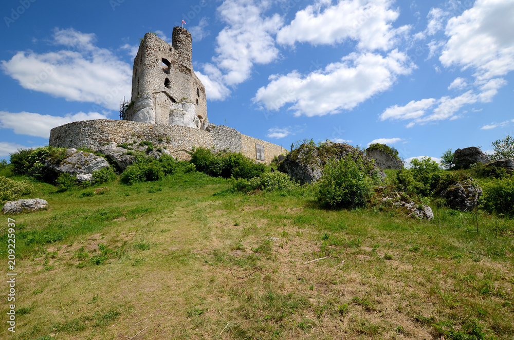 Mirow castle in Poland