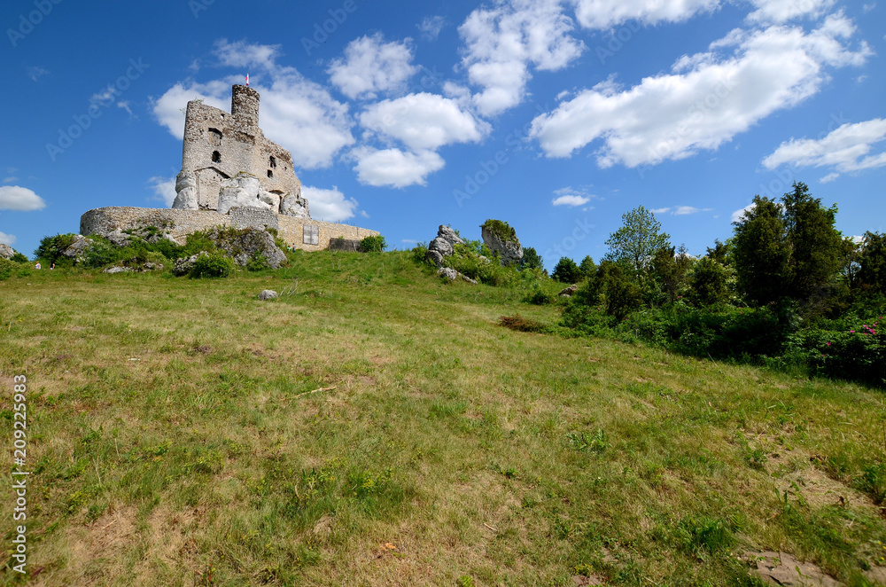 Mirow castle in Poland