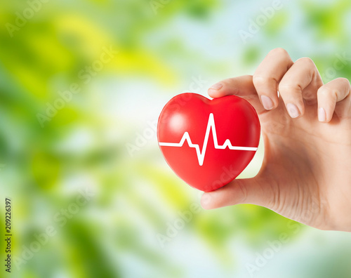 health, medicine, people and cardiology concept - close up of hand holding small red heart with cardiogram over green natural background