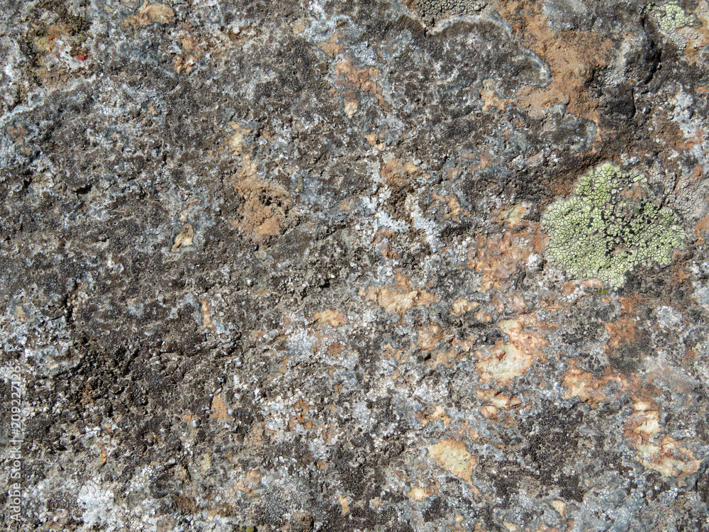 Old stone texture background. Beautiful stone surface covered with lichen Old stone texture background. Beautiful stone surface covered with lichen