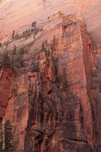 A red sandstone cliff rises up with streaks of black from oxidization and ponderosa pines growing high on the ledges above.