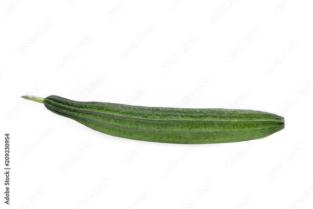 Melon Luffa On White Isolated Background Melon Luffa On White Isolated Background