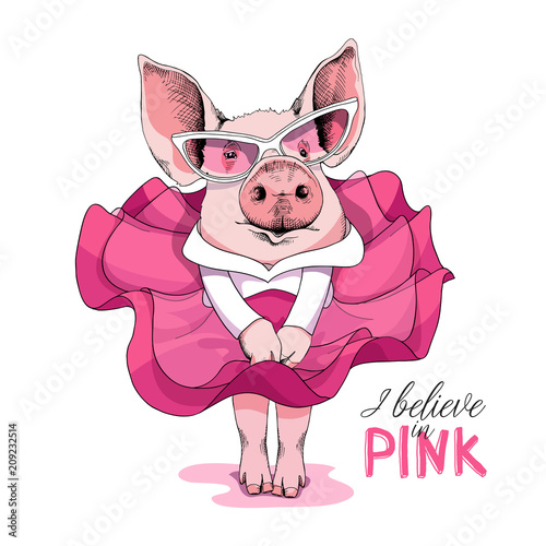 Pig in a pink dress and in a sunglasses posing like a Superstar. Vector illustration.
