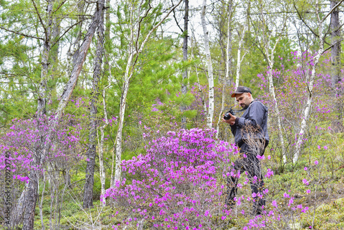 Young man taking pictures of spring landscape in the mountains of Sikhote Alin. Around the naturalist bloom bushes Rhododendrons sichotense. photo