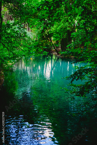 Transparent water of a stream and a lake in the green forest