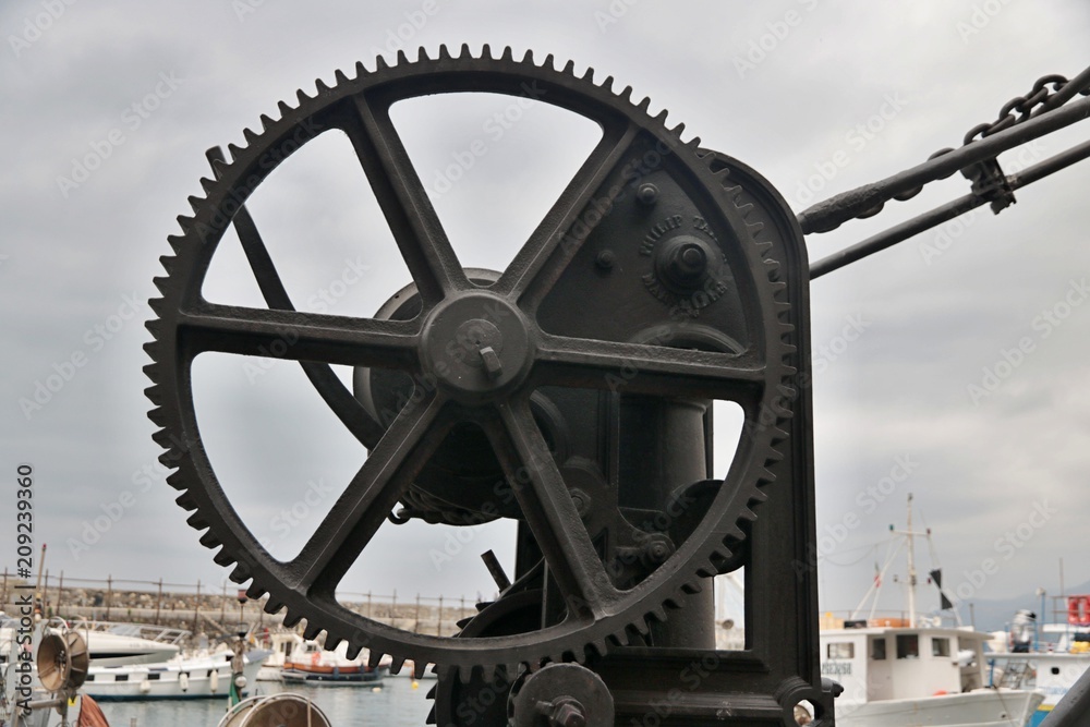 Obraz premium Ruota dentata