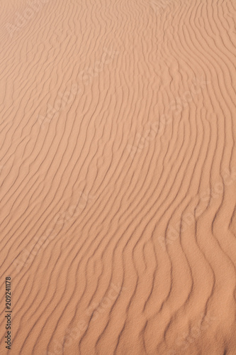 Ripple lines in a sand dune