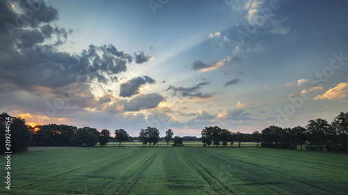 Wallpaper Mural Sunrise over German Countryside Torontodigital.ca
