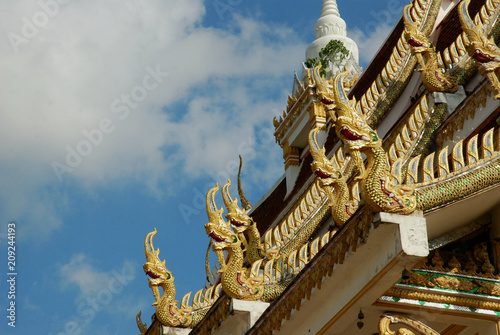 Traditional Buddhist Temple Roof © Barbara