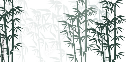 Bamboo illustration. Design for prints, asian spa and massage, cosmetics package, materials. © Alona