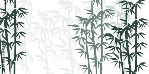 Bamboo illustration. Design for prints  asian spa and massage  cosmetics package  materials.