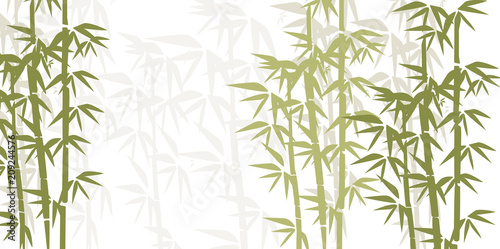 Bamboo illustration. Design for prints, asian spa and massage, cosmetics package, materials. © Alona