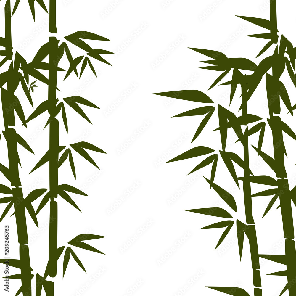 Obraz premium Bamboo illustration. Design for prints, asian spa and massage, cosmetics package, materials.