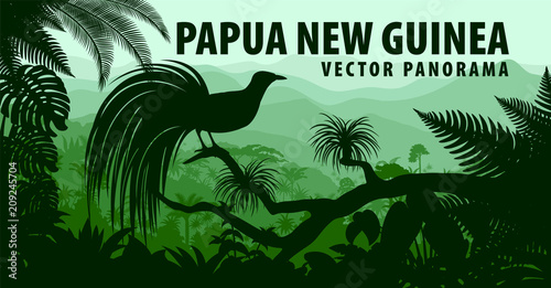 vector panorama of Papua New Guinea with lesser bird of paradise photo