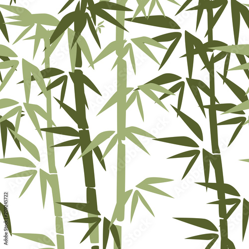 Bamboo illustration. Design for prints, asian spa and massage, cosmetics package, materials.